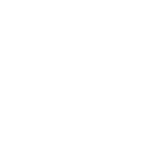 x logo